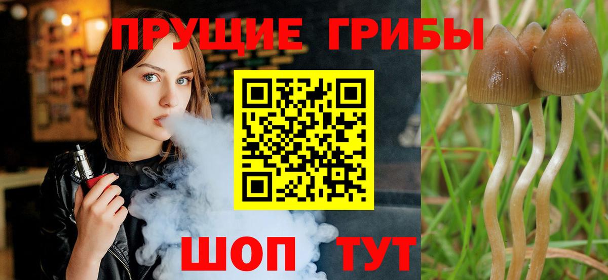 Псилоцибиновые грибы Cubensis  Вход с VPN  Псилоцибиновые грибы мицелий  Пыть-Ях 